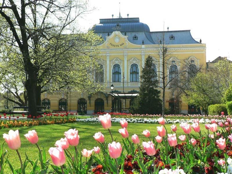 Hotel Fama Hódmezővásárhely Exterior foto